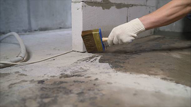 Top rated local Basement Waterproofing specialists in Woodbury, NJ